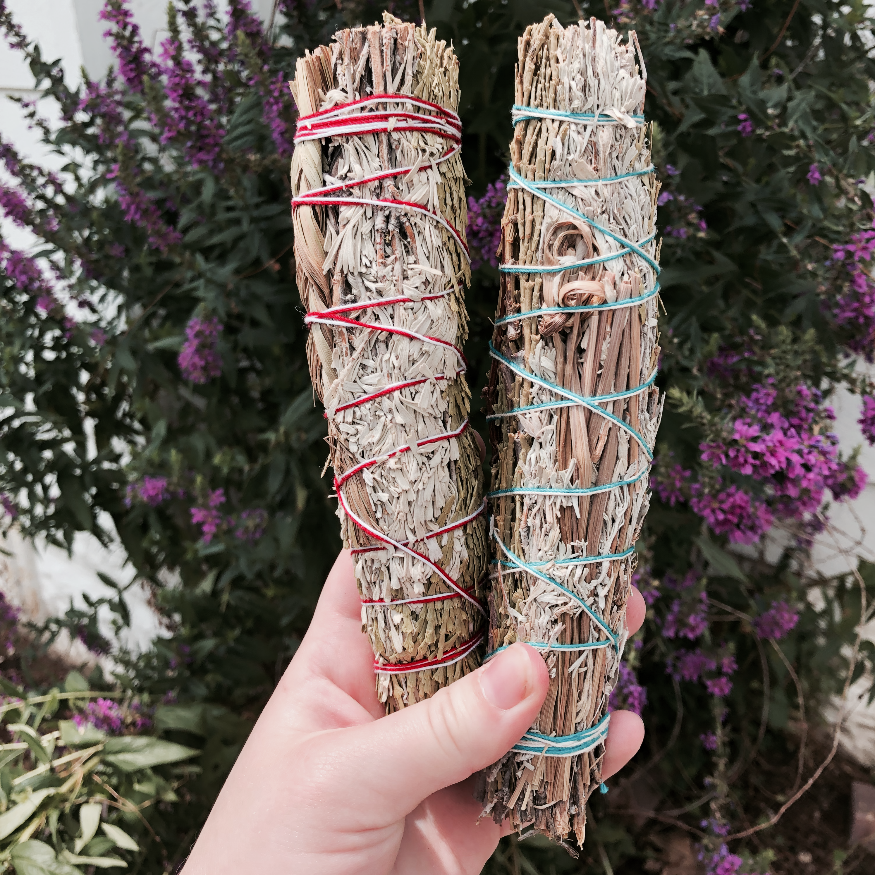 Many Native tribes in North America use sweetgrass in prayer, smudging or  purifying ceremonies and consider it a sacred plant.